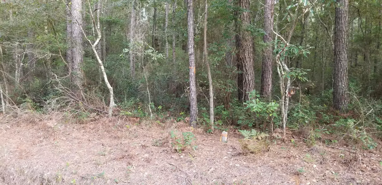 0 Jacksonboro Rd, Round O, SC 29474