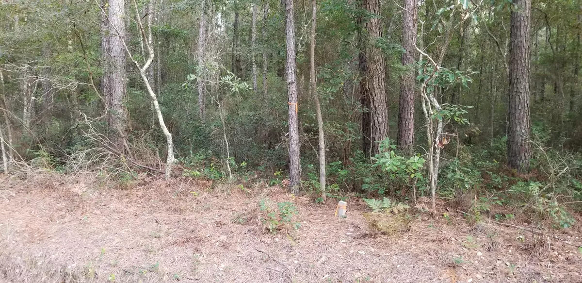 Round O, SC 29474,0 Jacksonboro Rd