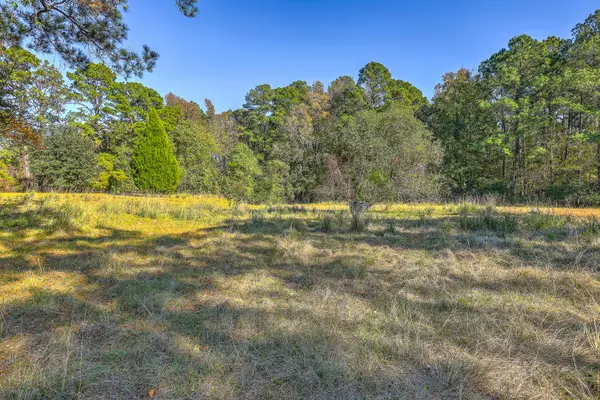 Ridgeville, SC 29472,00 S Hwy 17a