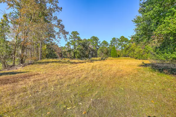 Ridgeville, SC 29472,00 S Hwy 17a