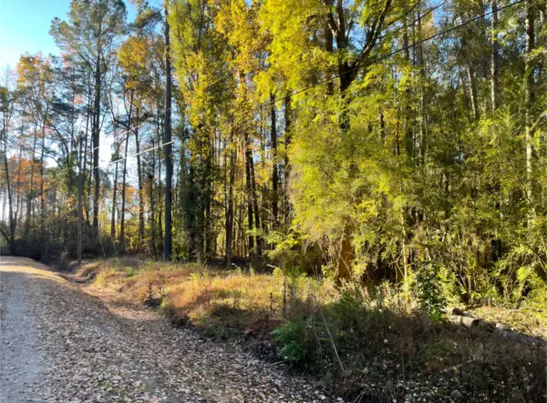 Summerville, SC 29483,0 Dig It Rd