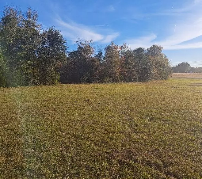 Eutawville, SC 29048,01 Joby Ln