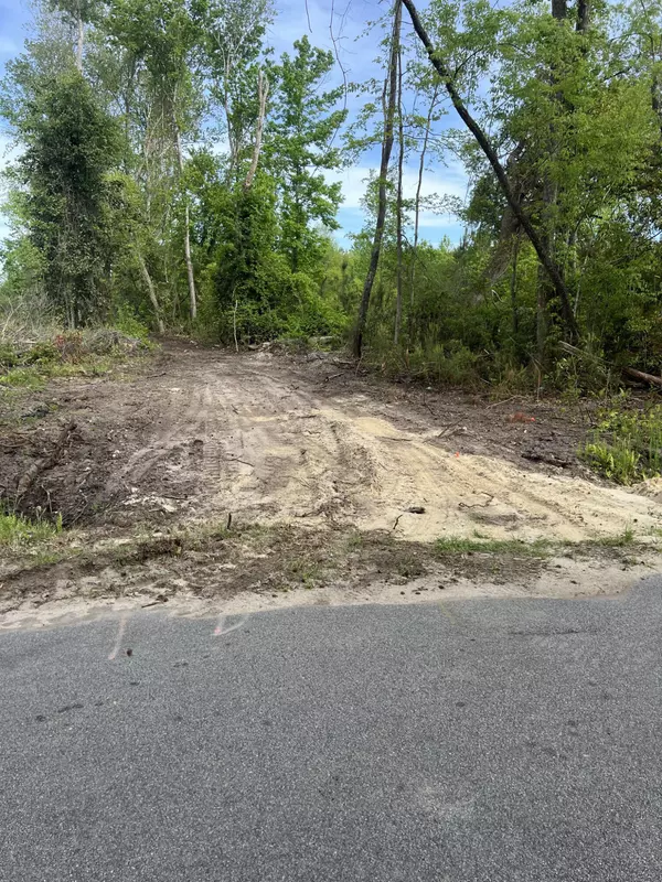 277 Herndon St, Walterboro, SC 29488