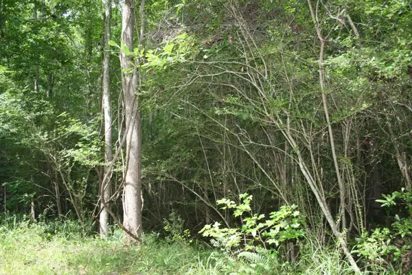 Moncks Corner, SC 29461,0 Kitfield Rd