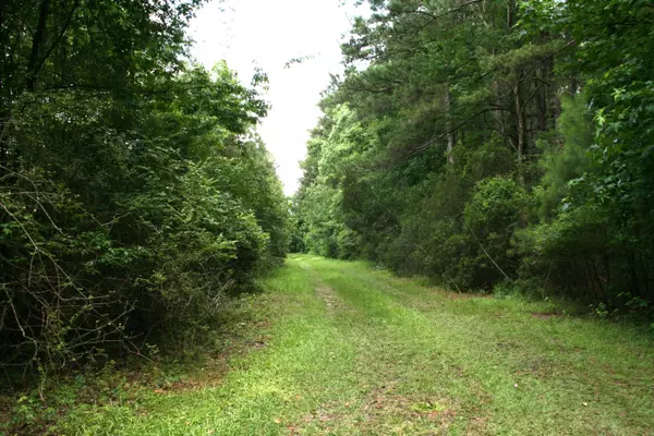 Moncks Corner, SC 29461,0 Kitfield Rd