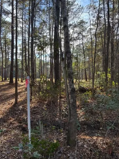 Ridgeville, SC 29472,00 Myers Mayo Rd #Lot 5