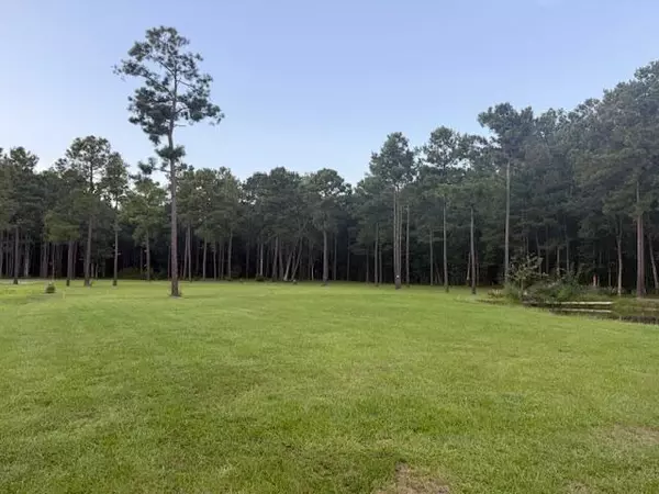 Ridgeville, SC 29472,00 Myers Mayo Rd #Lot 5
