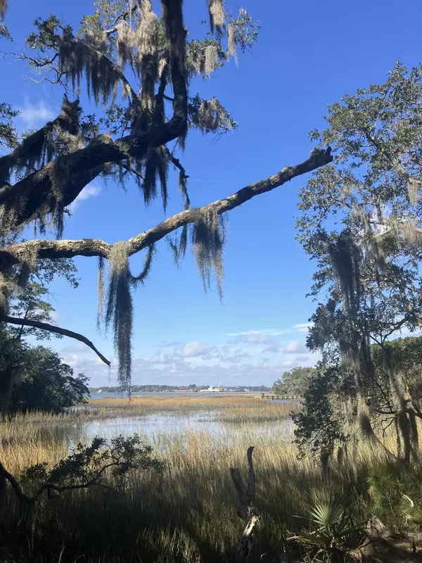 Wadmalaw Island, SC 29487,Lot 35 Josie Ridge