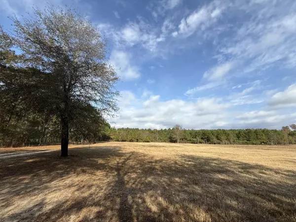 Williston, SC 29853,0000 Sc 39 Hwy