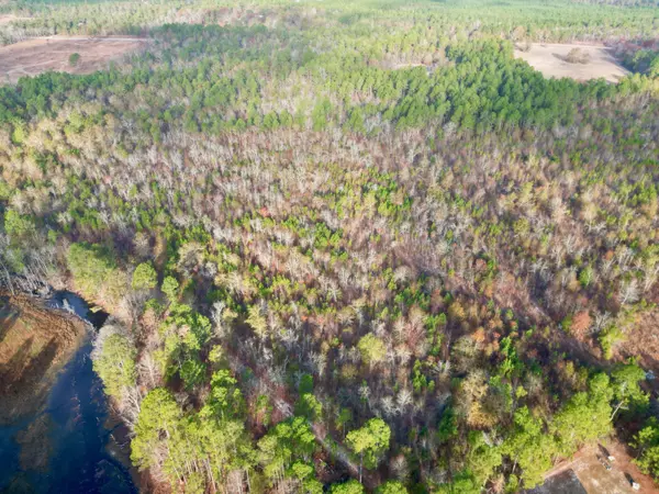 Williston, SC 29853,3391 Davis Bridge Rd