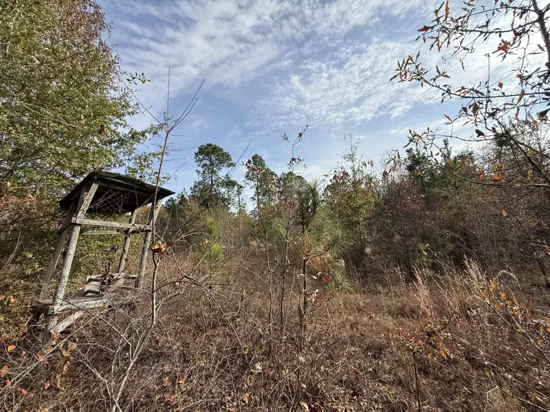 3391 Davis Bridge Rd, Williston, SC 29853