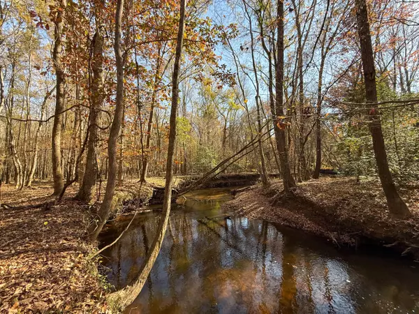 Bethune, SC 29009,0 Mill Creek