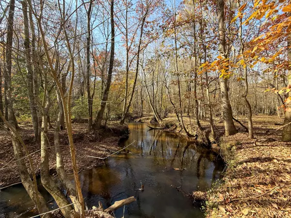 Bethune, SC 29009,0 Mill Creek