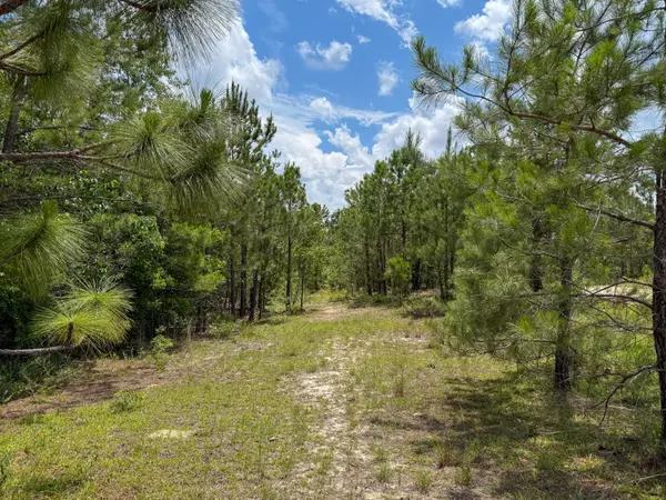 Cassatt, SC 29032,0 Beaver Dam Rd