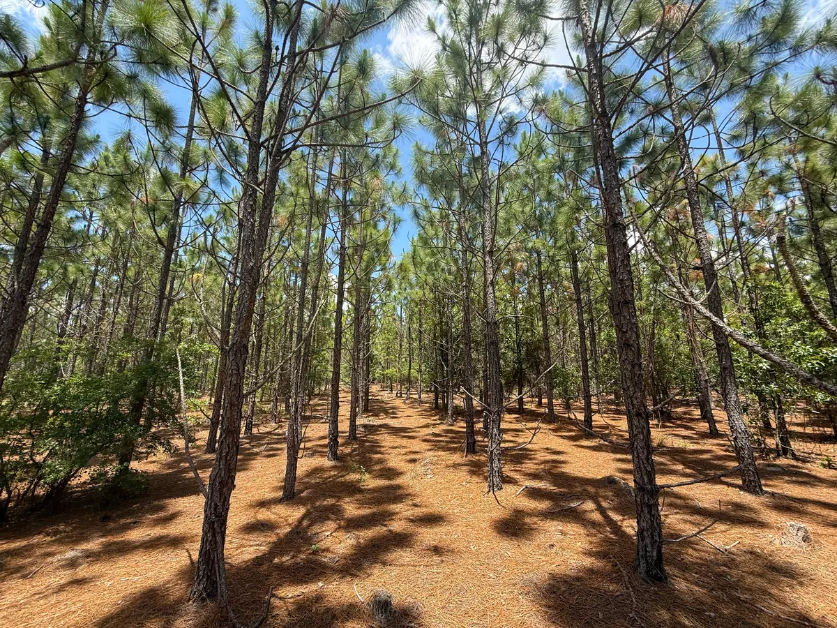 Cassatt, SC 29032,0 Beaver Dam Rd