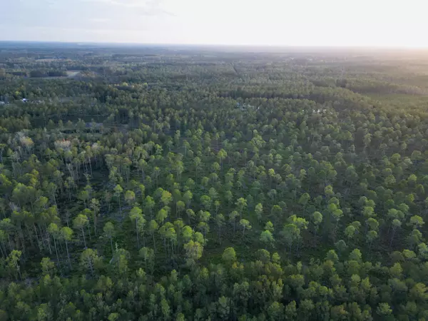 Walterboro, SC 29488,0000 Peniel Rd