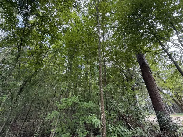 Barnwell, SC 29812,0000 Live Oak Ln