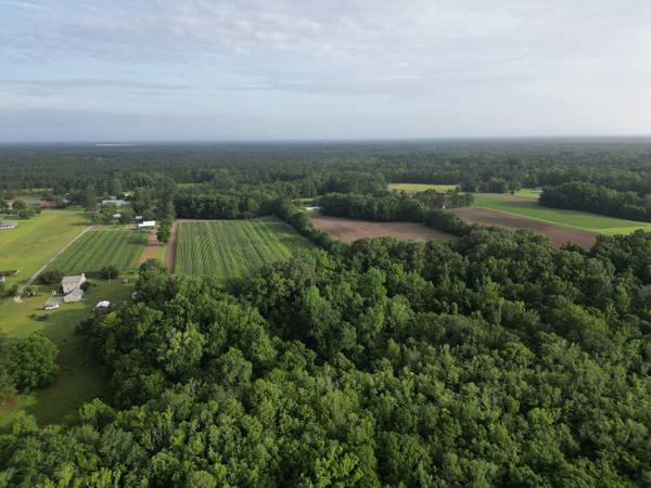 Ridgeville, SC 29472,00 Cypress Campground Rd