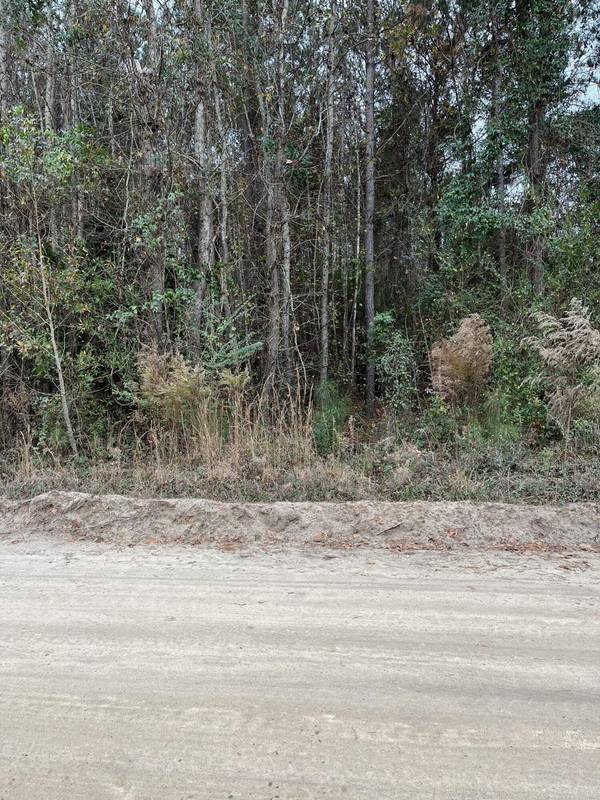 Cope, SC 29038,00 Ryn Street