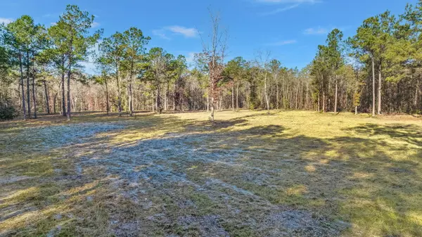 Ridgeville, SC 29472,0 Old Beech Hill Rd