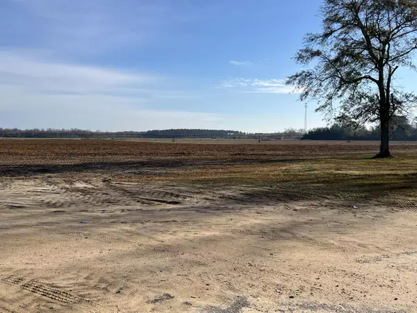 Elloree, SC 29047,00 Old Hwy 6