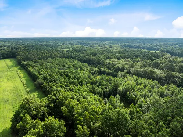 Hollywood, SC 29449,0 Oakville Rd