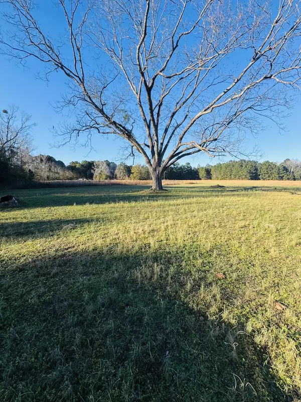 Saint George, SC 29477,00 Bishopville Rd