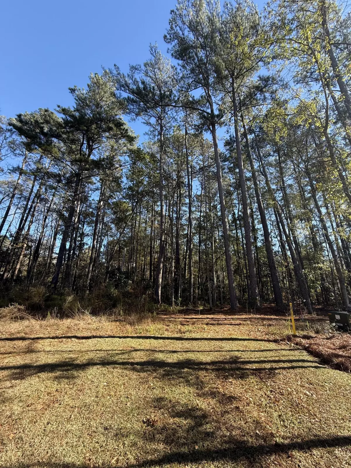 Summerville, SC 29483,0 Almond Ct