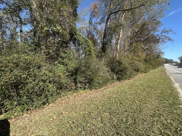 Elloree, SC 29047,00 Five Chop Rd