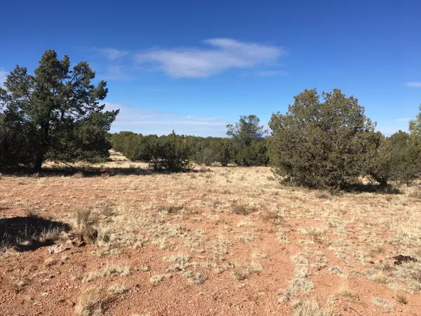 Lot 301 Peaceful Hill RD, Seligman, AZ 86434