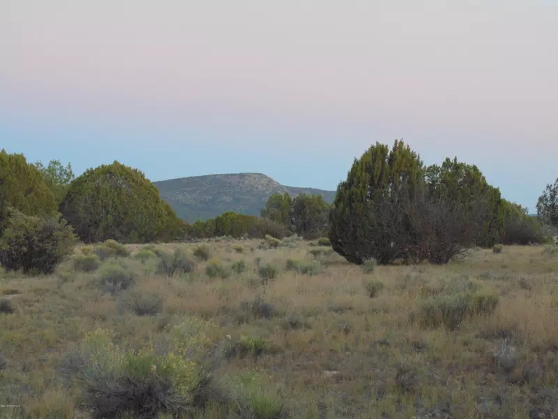 Lot 74 Sierra Verde Ranch, Seligman, AZ 86337