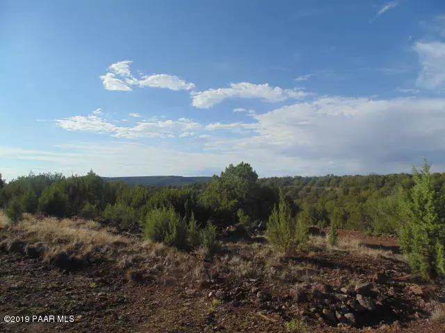 1335 Sierra Verde Ranch, Seligman, AZ 86337