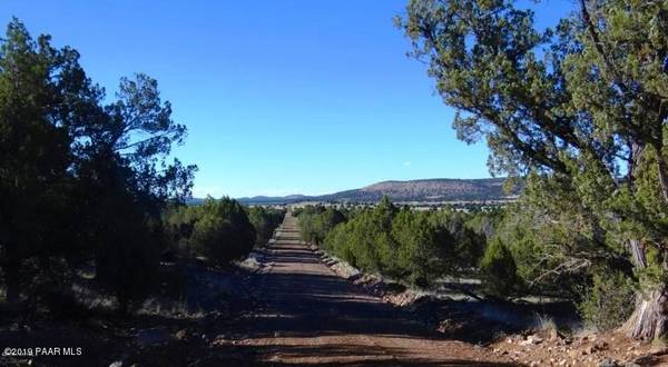 Seligman, AZ 86337,346 Sierra Verde Ranch