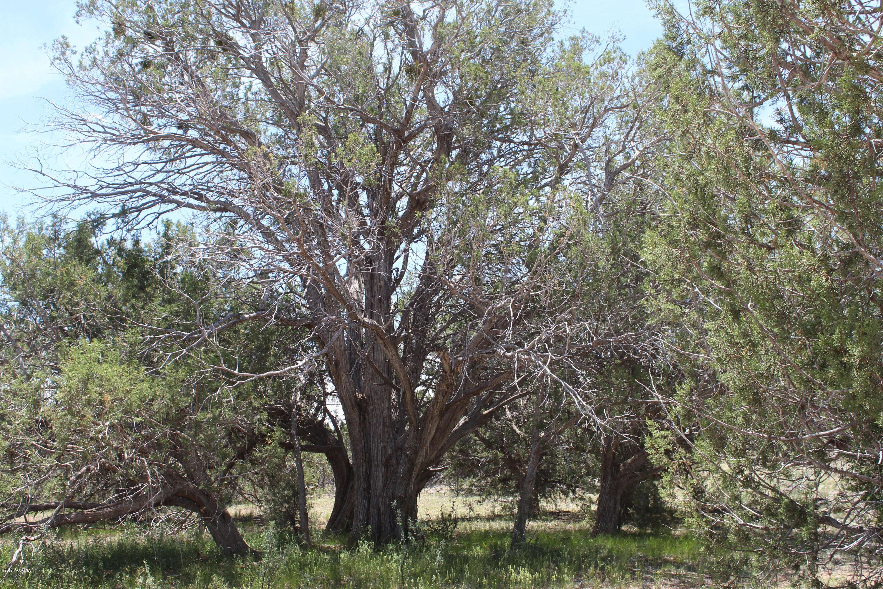 Seligman, AZ 86337,Tbd Anvil Rock RD