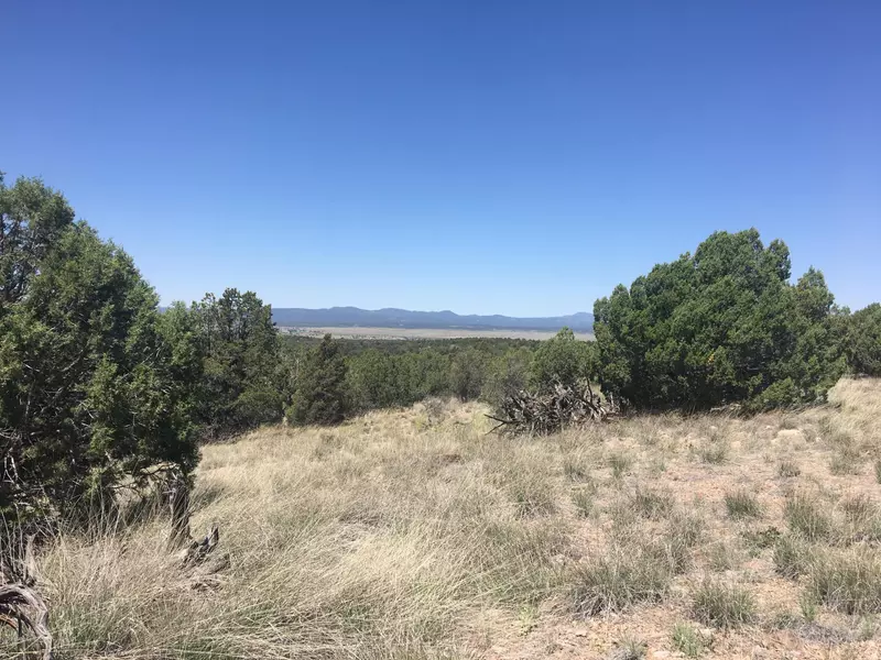 0 W Rambling RD, Prescott, AZ 86305