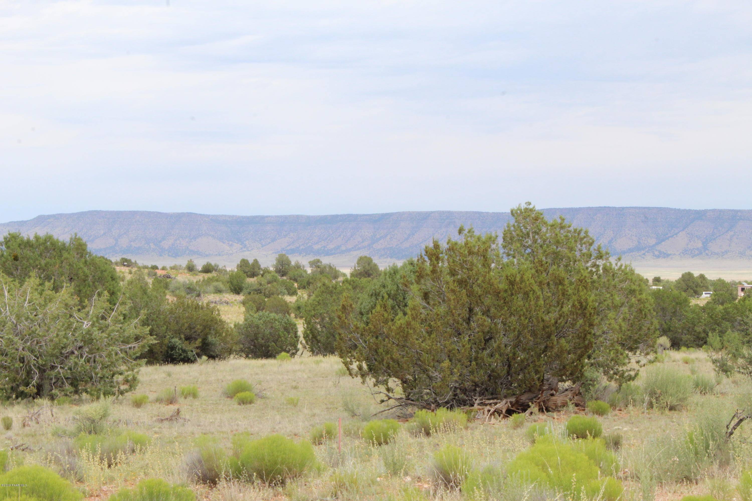 58675 N La Plancha Pkwy, Seligman, AZ 86337