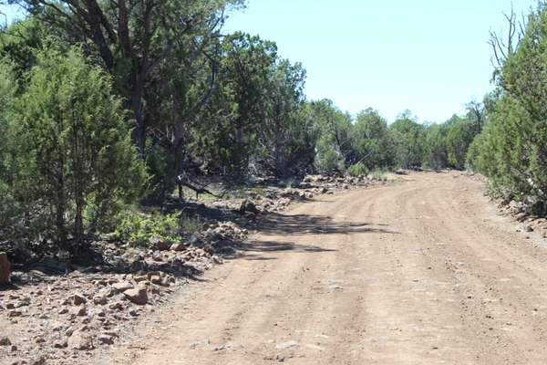 Seligman, AZ 86337,Lot 271 High Sierra