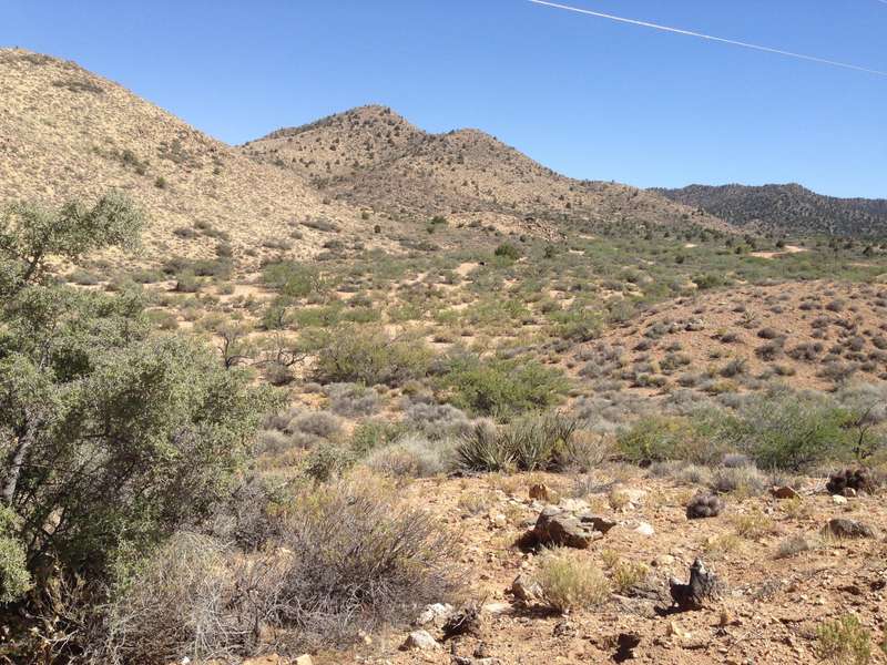 Lot 129 N Mine RD, Hackberry, AZ 86434