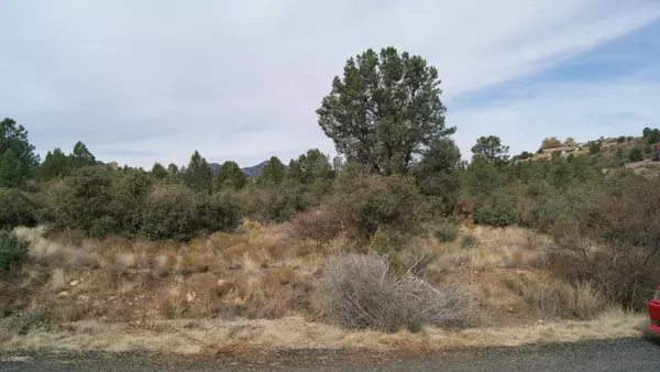 17734 S Tawny LN, Peeples Valley, AZ 86332
