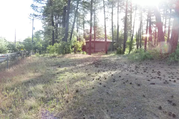 Prescott, AZ 86301,1051 Copper Basin Road