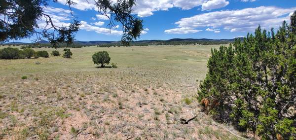 Seligman, AZ 86337,Lot 136 Williamson Valley RD