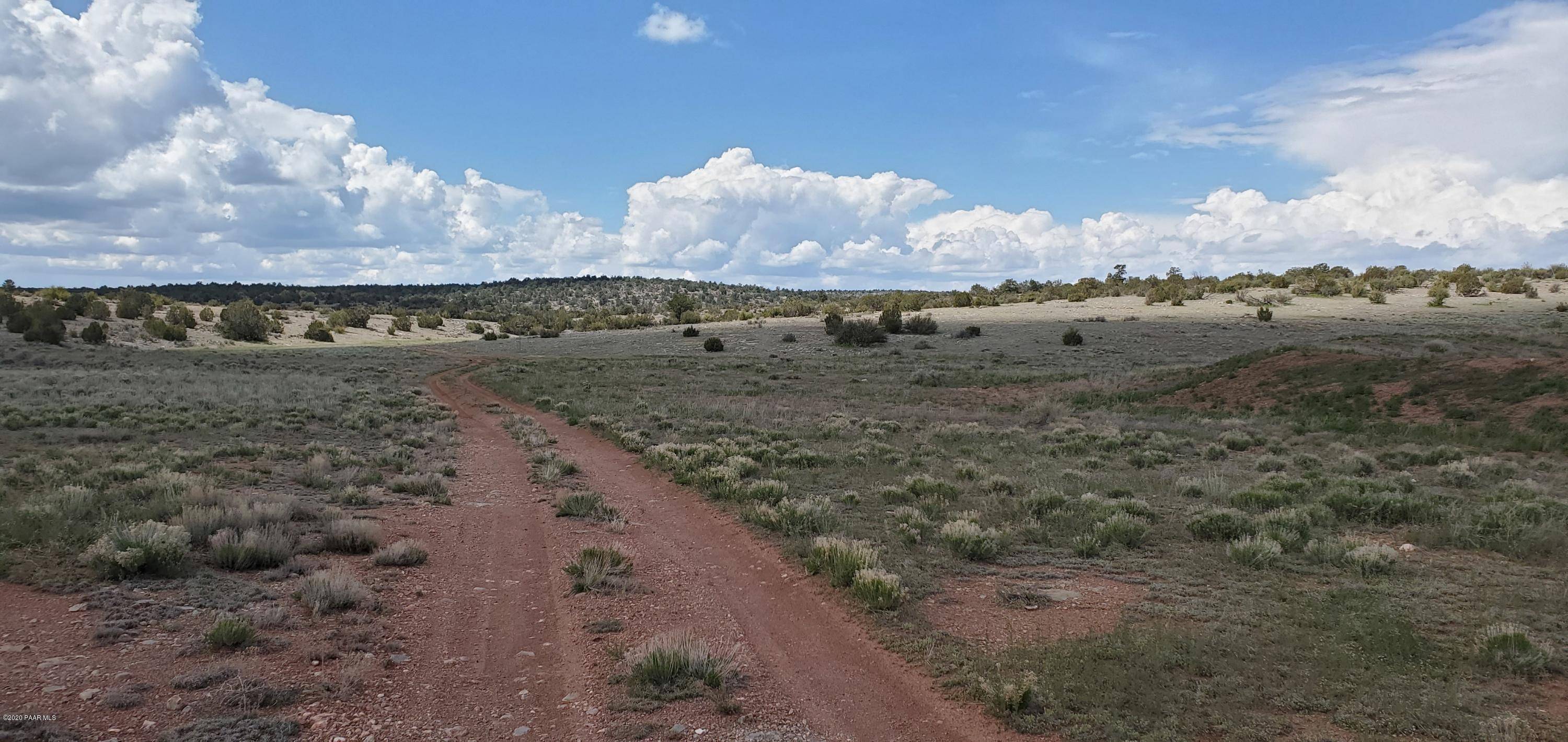 Seligman, AZ 86337,Lot # 42 James Sheriff RD