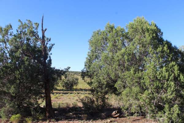 Seligman, AZ 86337,Lot 75 Antelope Valley Ranches