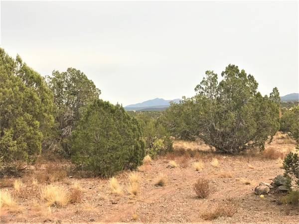 Ash Fork, AZ 86320,1436 W Foothills DR