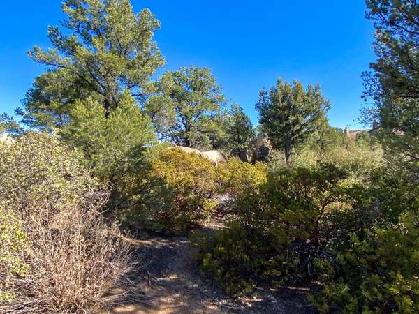 Prescott, AZ 86305,12680 N Cosima (Lot 105) CIR