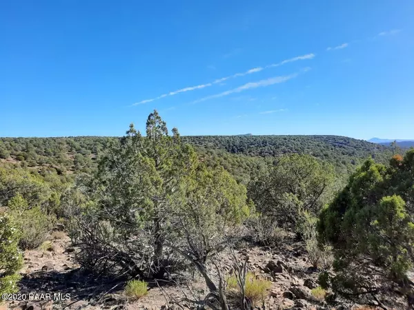 Seligman, AZ 86337,Lot 3 Fort Rock Rd