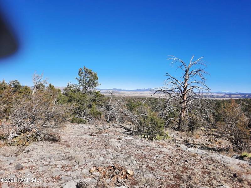 Lot 1416 Bad Dog Rd, Seligman, AZ 86337