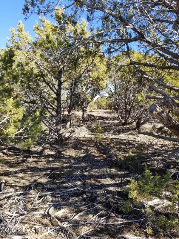 13380 W Quail TRL, Ash Fork, AZ 86406