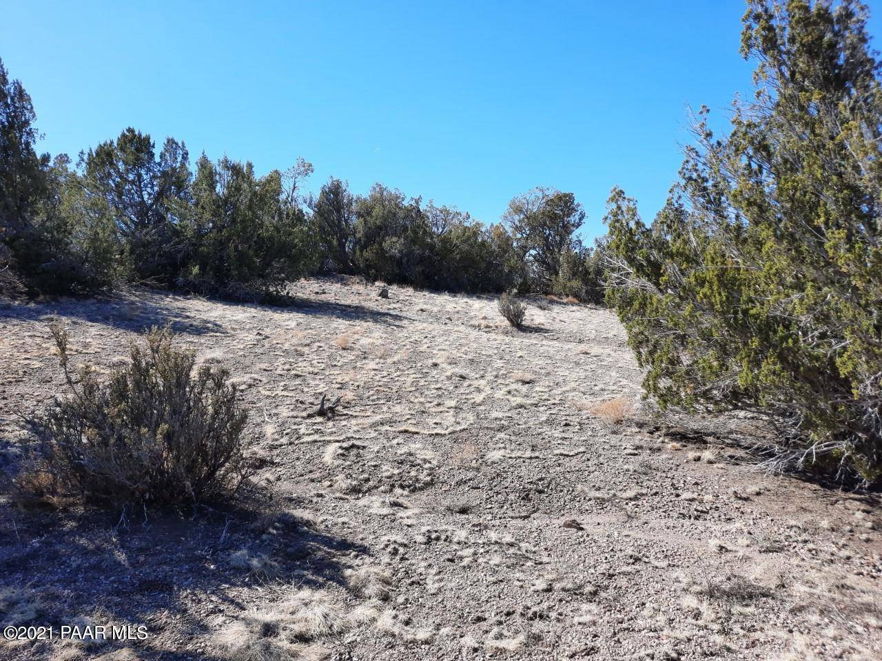 Seligman, AZ 86337,Lot 1367 Svr Greenhorn Lane