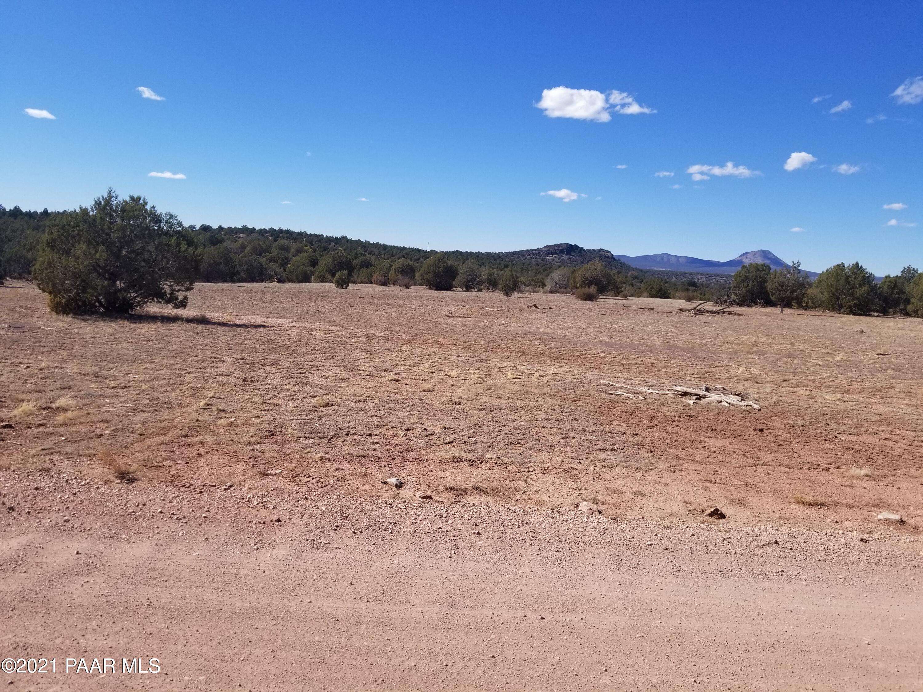Seligman, AZ 86337,437 Sierra Verde Ranch